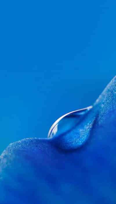 عکس های صفحه