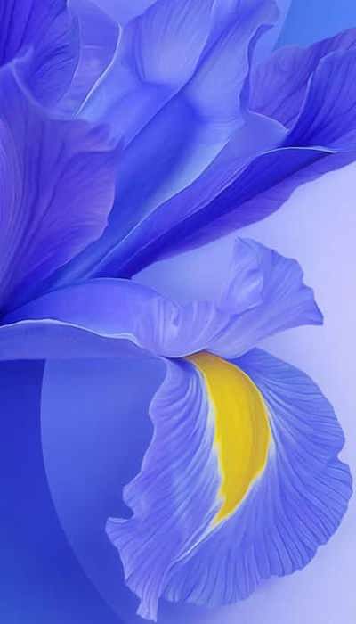 عکس های صفحه